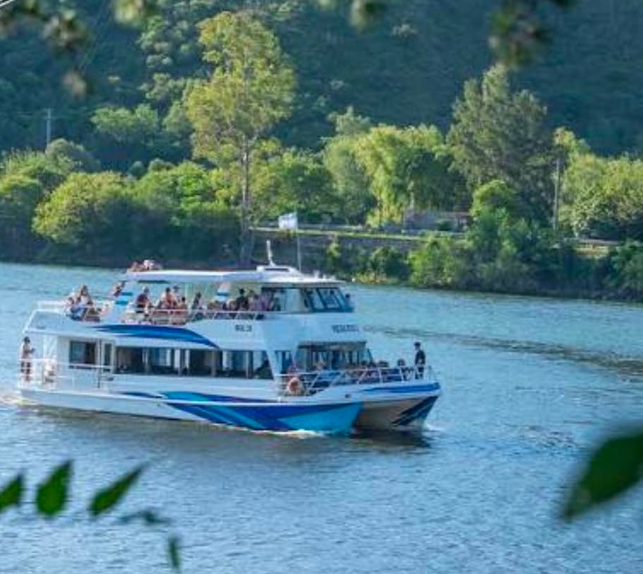 Catamarán & Bar de Hielo